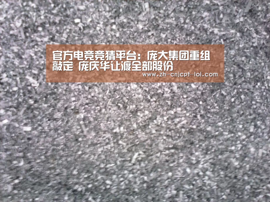  官方电竞竞猜平台