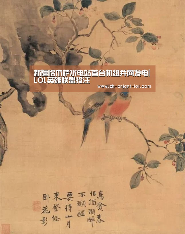 新疆恰木萨水电站首台机组并网发电|LOL英雄联盟投注 (图3) LOL英雄联盟投注