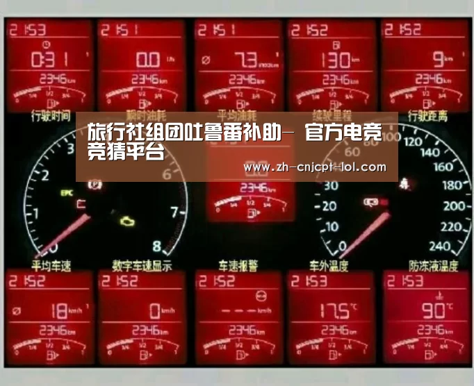 旅行社组团吐鲁番补助- 官方电竞竞猜平台(图2) LOL英雄联盟投注