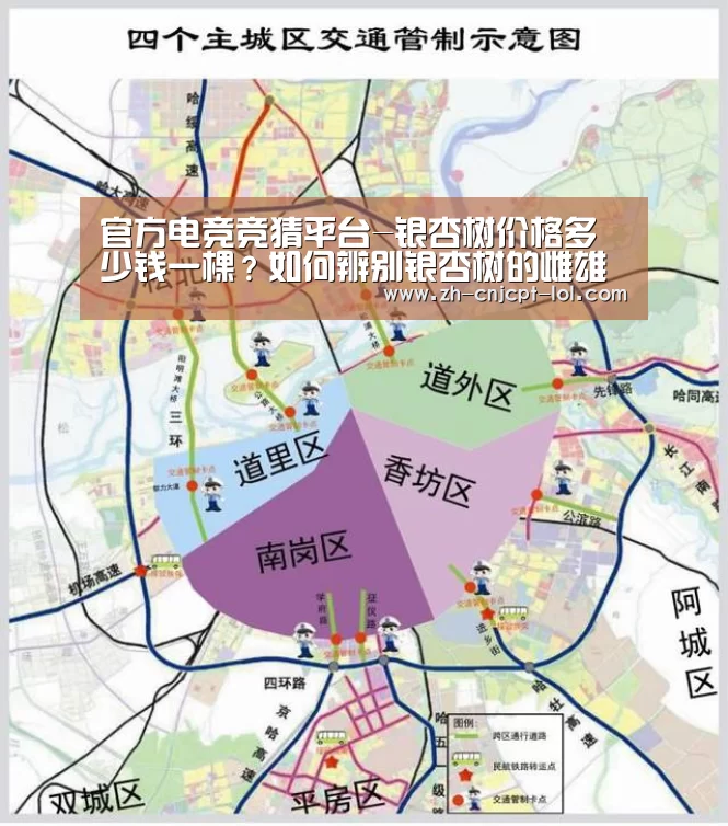 官方电竞竞猜平台-银杏树价格多少钱一棵?如何辨别银杏树的雌雄?(附管理要点)