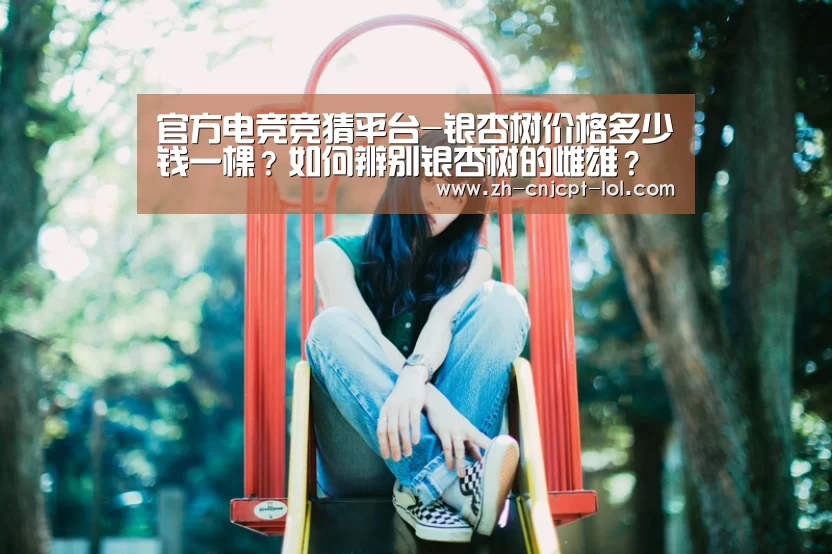官方电竞竞猜平台-银杏树价格多少钱一棵?如何辨别银杏树的雌雄?(附管理要点)(图4) 官方电竞竞猜平台