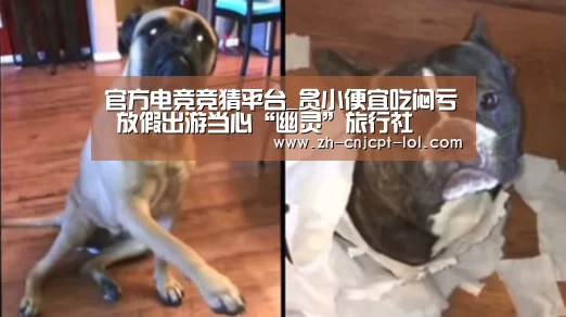 官方电竞竞猜平台_贪小便宜吃闷亏 放假出游当心“幽灵”旅行社