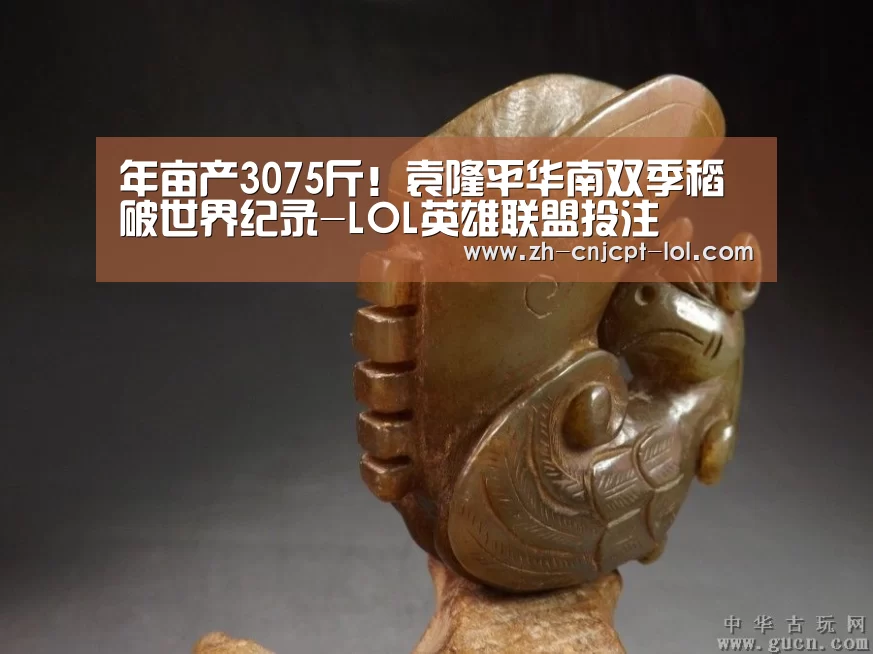 年亩产3075斤!袁隆平华南双季稻破世界纪录-LOL英雄联盟投注 (图2) 官方电竞竞猜平台